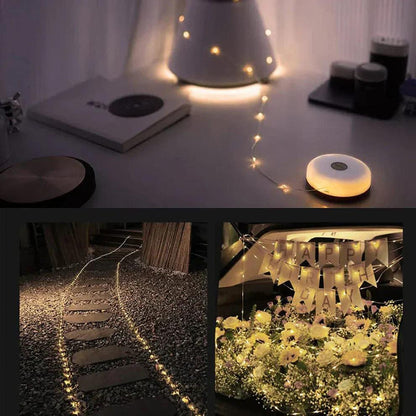 Transportable LED Lights Garland | Last Day Sale!